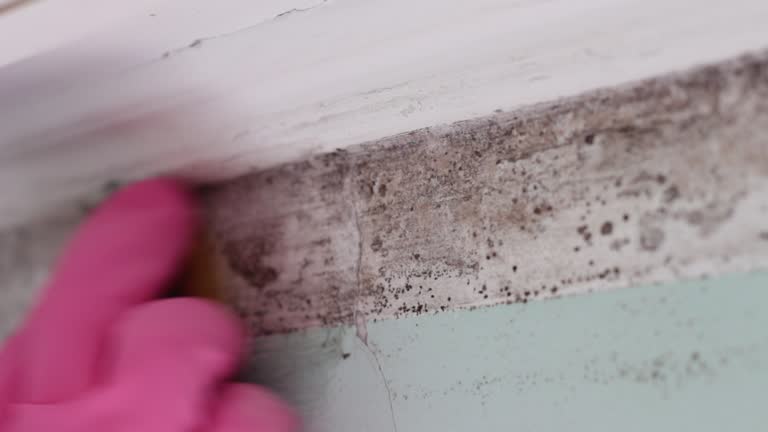 Best Residential Mold Inspection & Testing  in Reading, OH